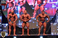 SN PRO EXPO - 2017