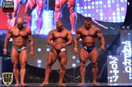 SN PRO EXPO - 2017