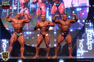 SN PRO EXPO - 2017
