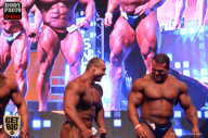 SN PRO EXPO - 2017