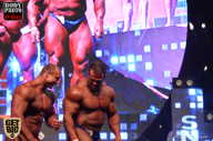 SN PRO EXPO - 2017