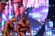 SN PRO EXPO - 2017