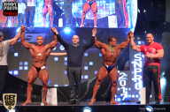 SN PRO EXPO - 2017