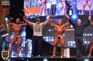 SN PRO EXPO - 2017