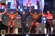SN PRO EXPO - 2017