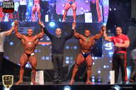 SN PRO EXPO - 2017