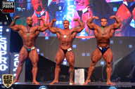 SN PRO EXPO - 2017