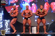 SN PRO EXPO - 2017