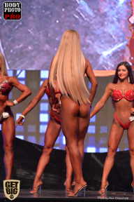SN PRO EXPO - 2017