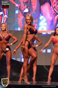 SN PRO EXPO - 2017
