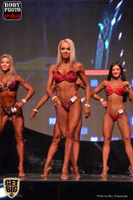 SN PRO EXPO - 2017