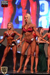 SN PRO EXPO - 2017