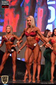 SN PRO EXPO - 2017