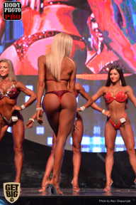 SN PRO EXPO - 2017