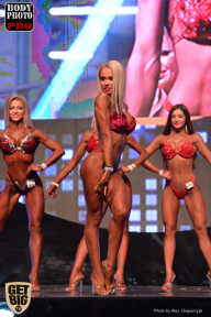 SN PRO EXPO - 2017