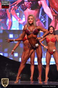 SN PRO EXPO - 2017