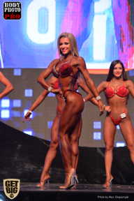 SN PRO EXPO - 2017