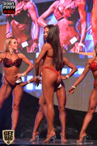 SN PRO EXPO - 2017