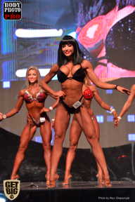 SN PRO EXPO - 2017