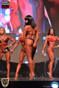 SN PRO EXPO - 2017