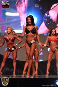 SN PRO EXPO - 2017