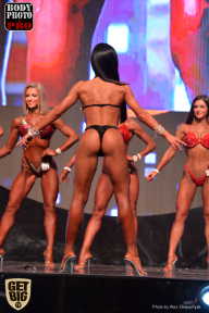 SN PRO EXPO - 2017
