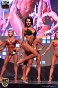 SN PRO EXPO - 2017