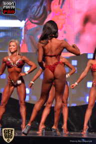 SN PRO EXPO - 2017