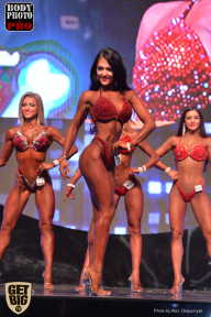 SN PRO EXPO - 2017