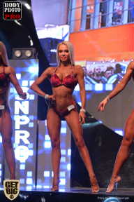 SN PRO EXPO - 2017