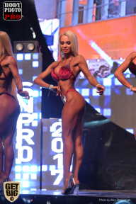 SN PRO EXPO - 2017