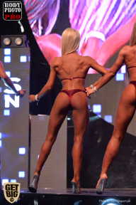SN PRO EXPO - 2017
