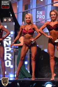 SN PRO EXPO - 2017