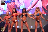 SN PRO EXPO - 2017