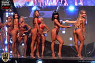 SN PRO EXPO - 2017