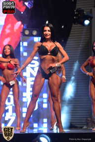 SN PRO EXPO - 2017