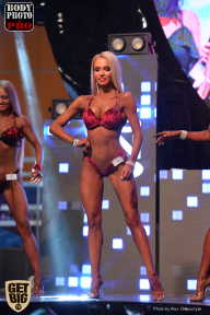 SN PRO EXPO - 2017