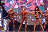 SN PRO EXPO - 2017