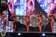 SN PRO EXPO - 2017