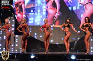 SN PRO EXPO - 2017