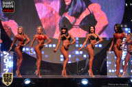 SN PRO EXPO - 2017