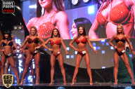 SN PRO EXPO - 2017