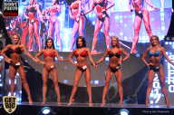 SN PRO EXPO - 2017
