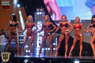 SN PRO EXPO - 2017