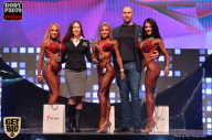 SN PRO EXPO - 2017