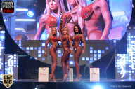 SN PRO EXPO - 2017