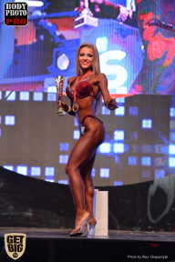 SN PRO EXPO - 2017
