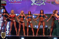 SN PRO EXPO - 2017