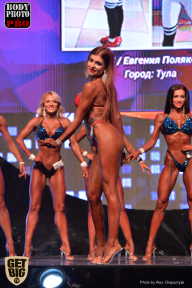 SN PRO EXPO - 2017