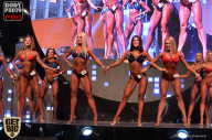 SN PRO EXPO - 2017